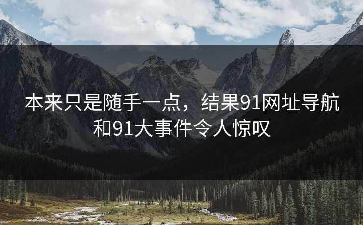 本来只是随手一点，结果91网址导航和91大事件令人惊叹