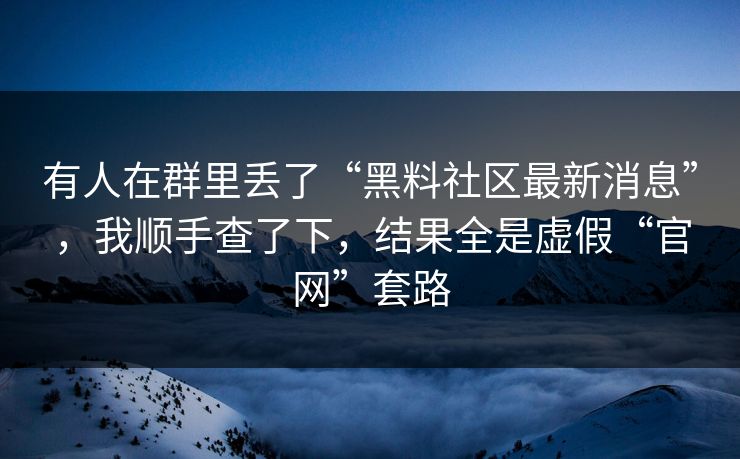 有人在群里丢了“黑料社区最新消息”，我顺手查了下，结果全是虚假“官网”套路